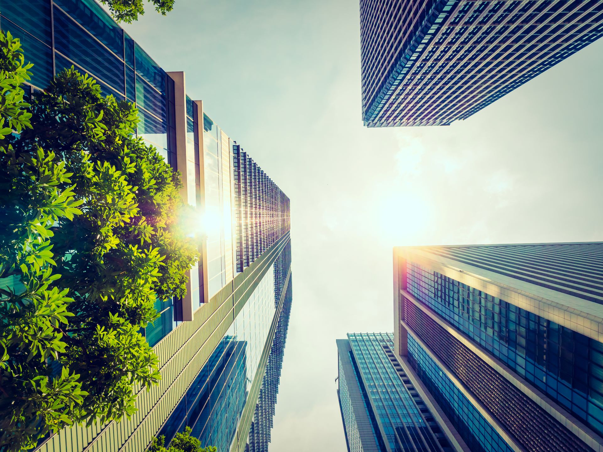 Energy Efficiency and Modern Building Performance in SA