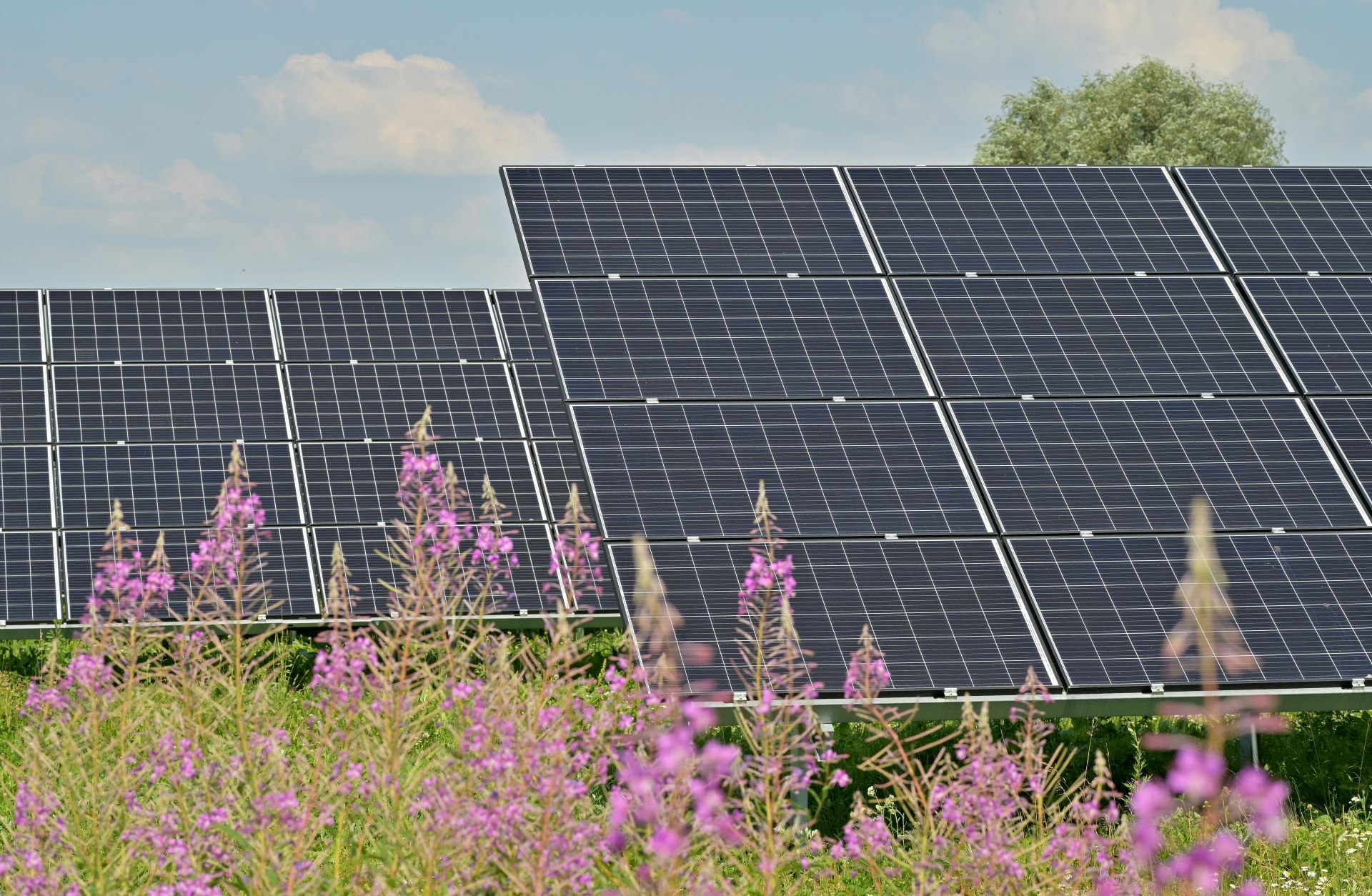 Solar System Output: What Healthy Performance Looks Like